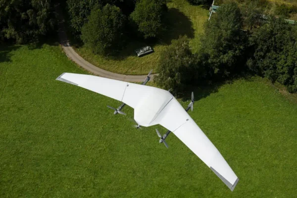 Alpine Eagle - Image 2
